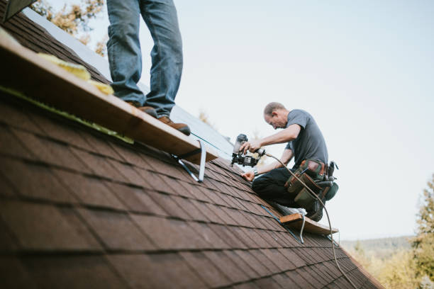 Best Metal Roofing Contractor  in Lakes Of The Four Seasons, IN